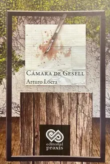Cámara de Gesell